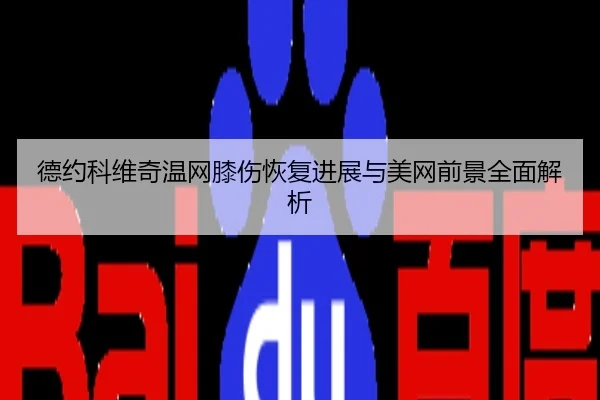 德约科维奇温网膝伤恢复进展与美网前景全面解析